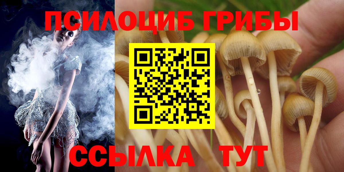 Псилоцибиновые грибы Psilocybine cubensis  Вход с VPN  как найти   Алушта  Галлюциногенные грибы GOLDEN TEACHER 