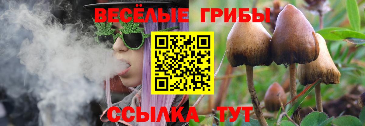 Псилоцибиновые грибы MAGIC MUSHROOMS Алушта